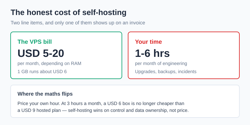 The honest cost of self-hosting analytics: VPS bill plus engineering hours